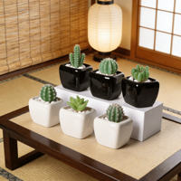 Mini pot carré en céramique noir et blanc MDJ pour plantes succulentes, avec trou de drainage, design minimaliste écologique, décoration de bureau à domicile, 0,3 kg