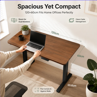 Bureau électrique assis-debout 120x60cm avec contrôleur numérique et 3 préréglages de mémoire pour bureau à domicile