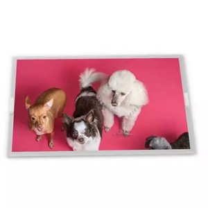 Ban đầu thương hiệu mới màn hình <span class=keywords><strong>LCD</strong></span> màn hình b156han13.1 15.6 siêu mỏng 1920 (RGB) * 1080 FHD máy tính xách tay <span class=keywords><strong>LCD</strong></span> Bảng điều chỉnh - Product Image 5