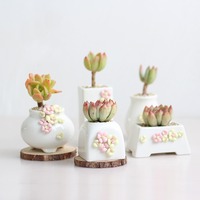 Pot de fleurs en céramique blanche minimaliste coréen MSH, fait main, à fleurs pincées, pour plantes à tige ancienne et succulentes PP