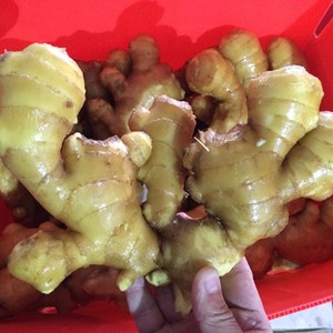 2025 Chất lượng cao gừng tươi 150g + nhà máy Trung Quốc xuất khẩu giá bán buôn - Product Image 3