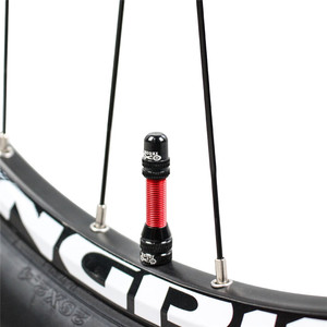 23020 MUQZI 40/60mm vélo <span class=keywords><strong>Schrader</strong></span> <span class=keywords><strong>Valve</strong></span> tige vide Air pneu <span class=keywords><strong>vtt</strong></span> route AV <span class=keywords><strong>Schrader</strong></span> vélo <span class=keywords><strong>Tubeless</strong></span> <span class=keywords><strong>Valve</strong></span> - Product Image 5