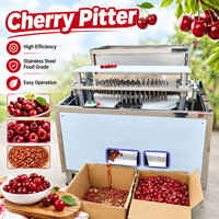 Machine à dénoyauter les fruits à usage commercial : pruneaux, olives, cerises – Désnoyauteuse de cerises