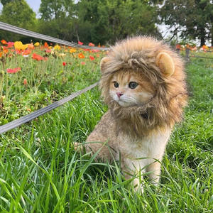 Wholesale Polyester Solid Summer Winter Pet <b>Cat</b> Lion Headgear New Pet Wig <b>Hats</b> Funny Headwear for <b>Cats</b> and Dogs - Product Image 5