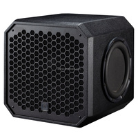 Caissons de basses actifs de 12 pouces avec module amplificateur, haut-parleur de woofer stéréo 300W RMS 35Hz pour club karaoké KTV, peut ajouter un logo, TR12BA