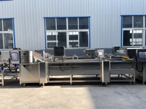 Linea Automatica per la Produzione di Larve di Mosca Soldato Nera (BSF) con Separazione, Essiccazione e Lavorazione Completa - Product Image 4