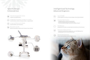 C6 수의용 휴대용 초음파 기기 15인치 <span class=keywords><strong>HD</strong></span> LED, 지능형 밝기 조절, ECG 모듈, 빠른 부팅 클리닉용 - Product Image 5