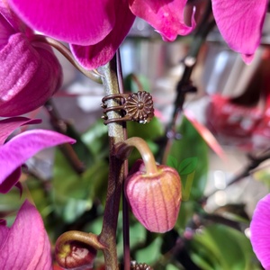 Piquets de soutien pour plantes avec tiges courbables, pinces pour orchidées, favorisent la croissance des fleurs d'intérieur et d'extérieur, des roses - Product Image 1
