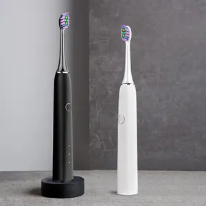 Baolijie SN302 OEM Wholesale Electr Wireless Charging Toothbrush Smart Ultrasonic Motor Sonic Electric Toothbrush