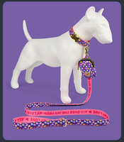 Schattige geprinte hondenhalsband, riem en poepzakjeshouder set, fruit- en hartjespatroon, hondenuitlaatset voor kleine en middelgrote honden en katten