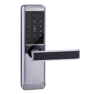 Nhà Máy Cung Cấp Trực Tiếp Sinh Trắc Học Khóa Cửa Vân Tay Với Keyless Nhập Hệ Thống