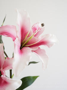 H-734 vendita diretta della fabbrica romantica decorazione di nozze giglio artificiale fiori bianco artificiale vero tocco giglio fiore all'ingrosso - Product Image 3