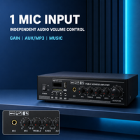 Amplificateur de sonorisation professionnel avec 1 entrée micro, 2 entrées ligne, USB, SD, radio, contrôle de volume séparé et protection contre les courts-circuits