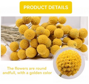 Boutons de Billy personnalisables multicolores, lot de 20 tiges, préservés à la glycérine, éternels et longue durée, 3-5 jours, Saint-Valentin, Remise de diplôme - Product Image 3