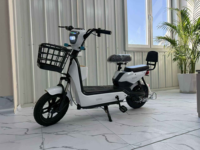 Vélo électrique 350W à économie d'énergie avec moteur arrière, autonomie étendue, batterie au plomb intelligente de type électronique – Vente directe usine