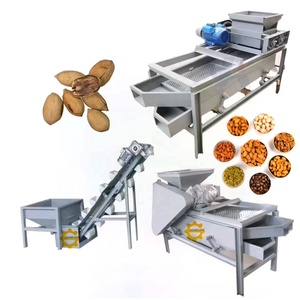 Chaîne de production d'équipements de traitement pour le décorticage, le pelage, le lavage, le séchage, le calibrage, le tri, le décorticage et le cassage des noix de pécan - Product Image 1