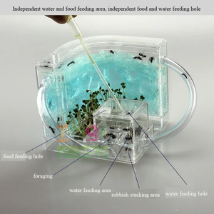Castillo de granja de hormigas con luz LED, juguete educativo Unisex para el hogar y la escuela, Kit de aprendizaje de ciencias para estudiar el comportamiento de los insectos - Product Image 5