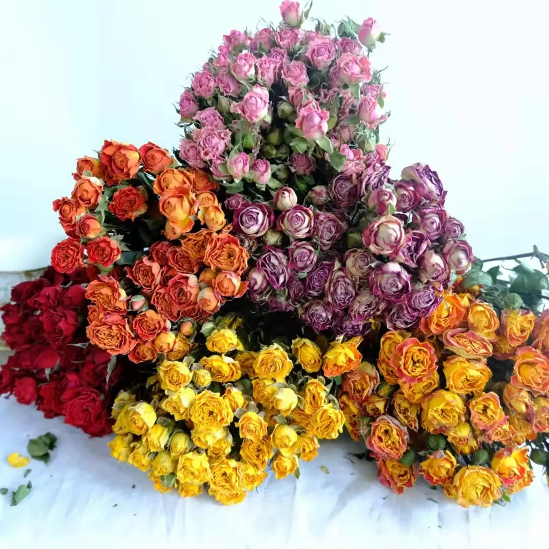 2021 new arrival rose dry flower rose dried rose flower for home wedding decoration