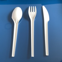 Set Sendok Garpu Pisau Plastik CPLA Biodegradable Ramah Lingkungan Modern Sekali Pakai untuk Pesta & Pernikahan