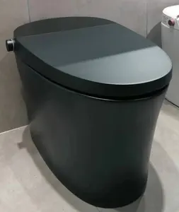 Bolina WZ2801 American Standard Automatic Flushing sifonic Jet S-trap automatico colore nero smart intelligent one piece toilet