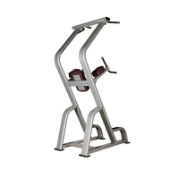 LMCC Équipement de gymnastique commercial haut de gamme Menton Dip Leg Raise Fitness Musculation Exercise Training Machine