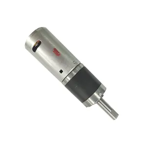 12V Micro Mini Electric DC Gear Motor Proveedor