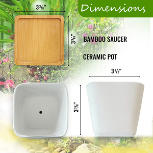 Kit de <span class=keywords><strong>jardín</strong></span> de hierbas para interiores, cocina completa, alféizar de ventana, <span class=keywords><strong>jardín</strong></span> de hierbas, hierba orgánica para interiores, regalos de jardinería, Kits de bricolaje para <span class=keywords><strong>mujeres</strong></span> y hombres - Product Image 5