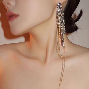 Yujie 2024 Nouveau style tendance, boucles d'oreilles pendantes à longues franges en forme d'épi de blé, style haut de gamme, pour visages ronds - Product Image 5