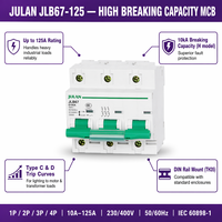 Interruptor Automático Miniatura (MCB) JLB67-125 de Alta Capacidad de Ruptura, 1P 2P 3P 4P, 10A-125A, 230/400V, 10kA, para Riel DIN, IEC60898