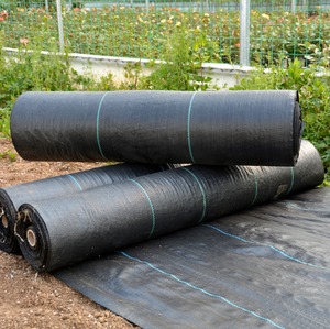 <span class=keywords><strong>Géotextile</strong></span> tissé moderne en HDPE / Couverture du sol / Barrière <span class=keywords><strong>anti</strong></span>-mauvaises herbes / Tapis de contrôle pour l'agriculture / Jardin / Paysage - Product Image 5