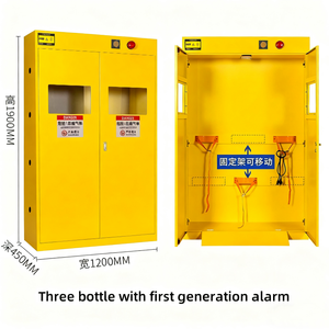 Brandwerende gasflesopslagkast met alarm voor industrieel en laboratoriumgebruik - Product Image 6
