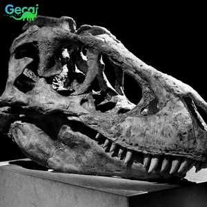 Gecai Museum Real Dinosaur <span class=keywords><strong>Fossil</strong></span> Bones Life Size <span class=keywords><strong>esqueleto</strong></span> de dinosaurio robótico para la venta - Product Image 1