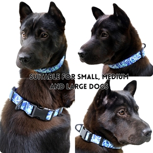 Set di design di lusso impermeabile e resistente in PVC/PU collari per cani da passeggio regolabili con guinzaglio imbottito 1.2m stampa collare per cani personalizzato - Product Image 6