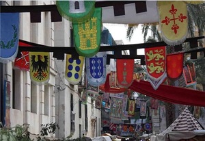 Drapeau de bannière médiévale et de la Renaissance sur mesure, 100 % polyester, imprimé et brodé, taille personnalisée pour drapeaux et bannières promotionnels - Product Image 6