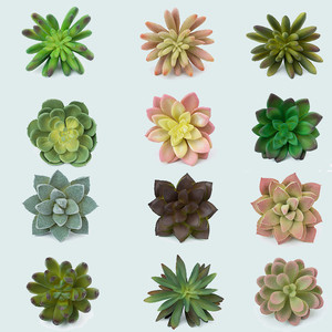 <span class=keywords><strong>Pas</strong></span> cher en gros décoratif mini <span class=keywords><strong>cactus</strong></span> assortiment extérieur intérieur suspendus arrangement plantes artificielles succulentes - Product Image 6