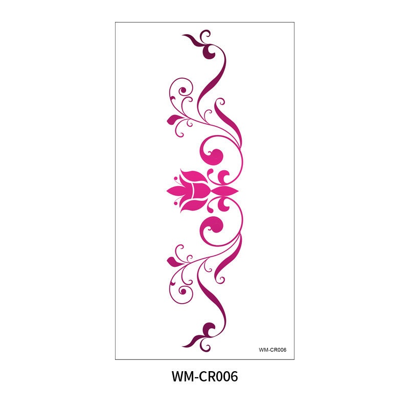 WM-CR006