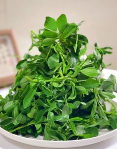 Organik yonca tozu saf bitki özü besin açısından zengin diyet takviyeleri vitamin-aktif madde sağlık gıda sınıfı - Product Image 5