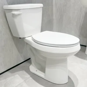 Bolina Wholesale Price Hot Selling American Standard Sanitary Ware S-trap Floor Mounted 2 Piece Toilet