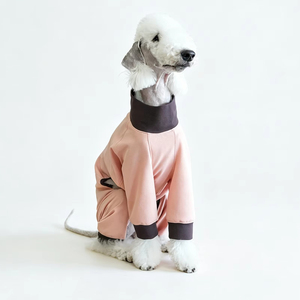 Combinaison pour chiot à séchage rapide, respirante, antibactérienne, à quatre pattes, UPF50+, vêtements pour chien, protection solaire estivale pour animaux de compagnie - Product Image 1
