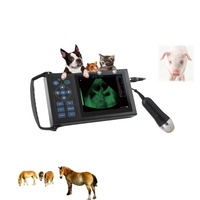 Échographe vétérinaire portable pour diagnostic abdominal porcin et ovine avec écran LED de 5,6 pouces et sonde mécanique de 3,5 m