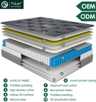 Meubles de chambre à coucher de luxe de 20 pouces Lit indépendant Queen Twin Sexy Matelas avec mousse commémorative