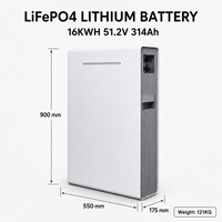 Batterie au lithium LiFePO4 51,2 V 16 kWh 314 Ah, prix d'usine compétitif, idéale pour les importateurs et les revendeurs B2B de stockage d'énergie solaire