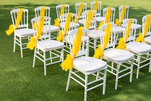 Silla de banquete Napoleón blanca de lujo Asientos de plástico apilables de alta calidad para bodas Fiestas Hoteles y villas modernos - Product Image 6