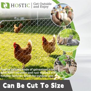 Hostic Chicken Wire <b>Netting</b> 4Ft X 150Ft Galvanized Hexagonal Mesh 2Inch 20Gauge For Poultry <b>Fencing</b> - Product Image 5