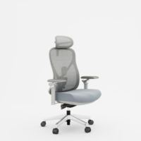 Chaise de bureau ergonomique moderne et réglable en maille, approuvée BIFMA, avec rotation pivotante pour bureau à domicile ou bureau d'étude