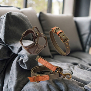 Maßgefertigter Luxus-Hundegurt, Hundeseil und -geschirr aus grobem Segeltuch, Hundehalsband-Leinen-Set, Lederhalsband Großhandel - Product Image 6