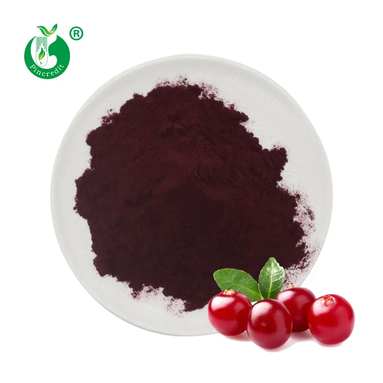 Pure Plant Extract Bulk 50% Anthocyaan Organische Cranberry Extract Poeder