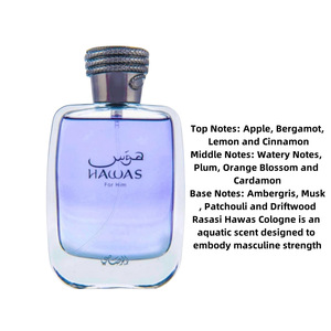 Profumo Spray Unisex Arabo da 100ml con Fragranza Legnosa a Lunga Durata, Ecologico e Personalizzabile, Lussuoso e Portatile - Product Image 2