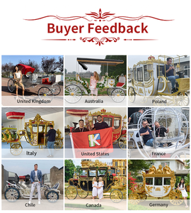 Remolques de Carruajes Reales de Alta Calidad, Carruaje Real Eléctrico de Lujo de Cuatro Ruedas para Turismo en Venta - Product Image 4