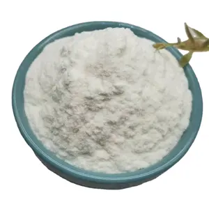 Hydroxypropyl Methyl Cellulose HPMC bột trong bột Putty/Chất kết dính gốm